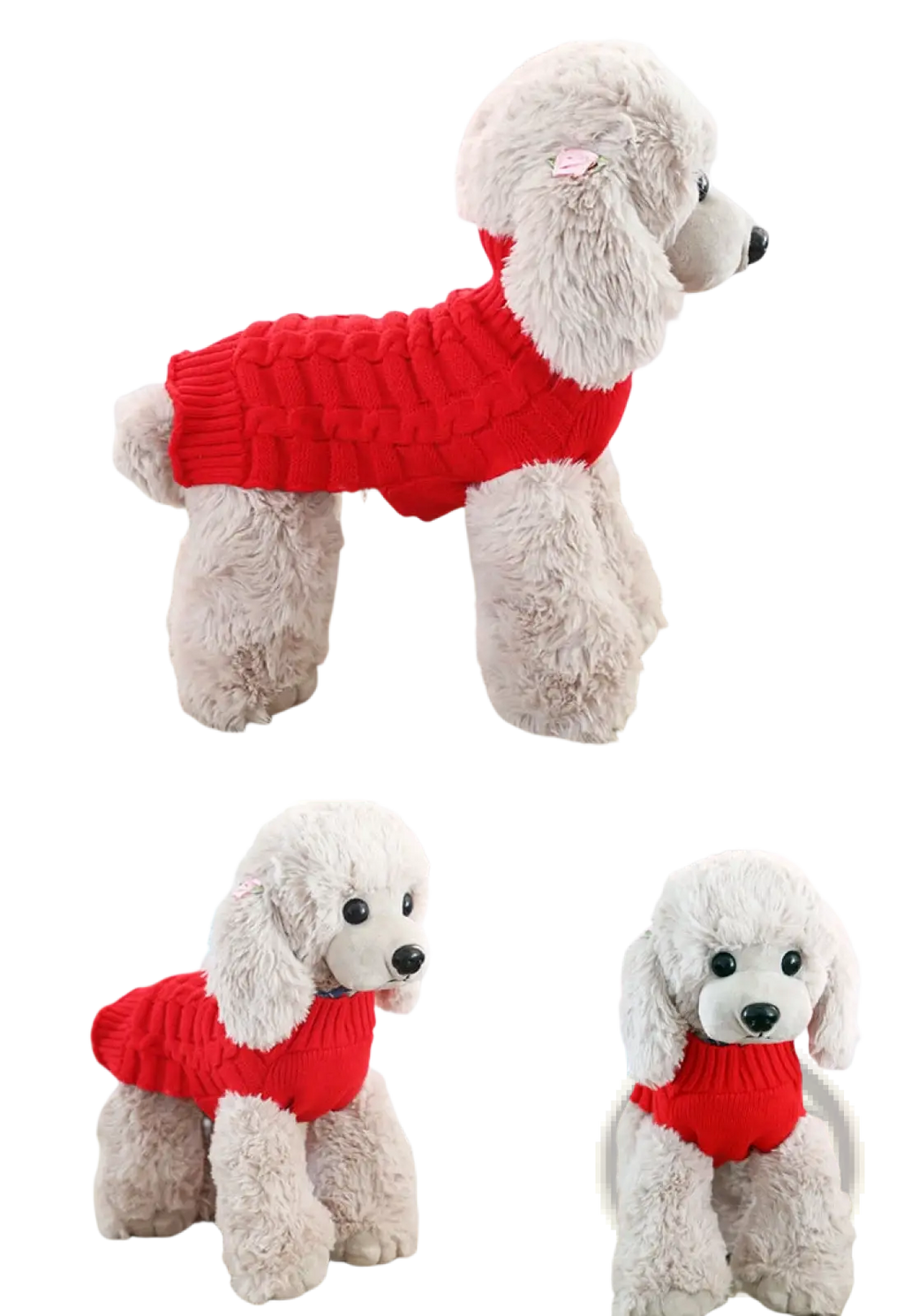 A fluffy white poodle wearing a vibrant red ribbed cashmere twisted rope dog sweater shown from the back side