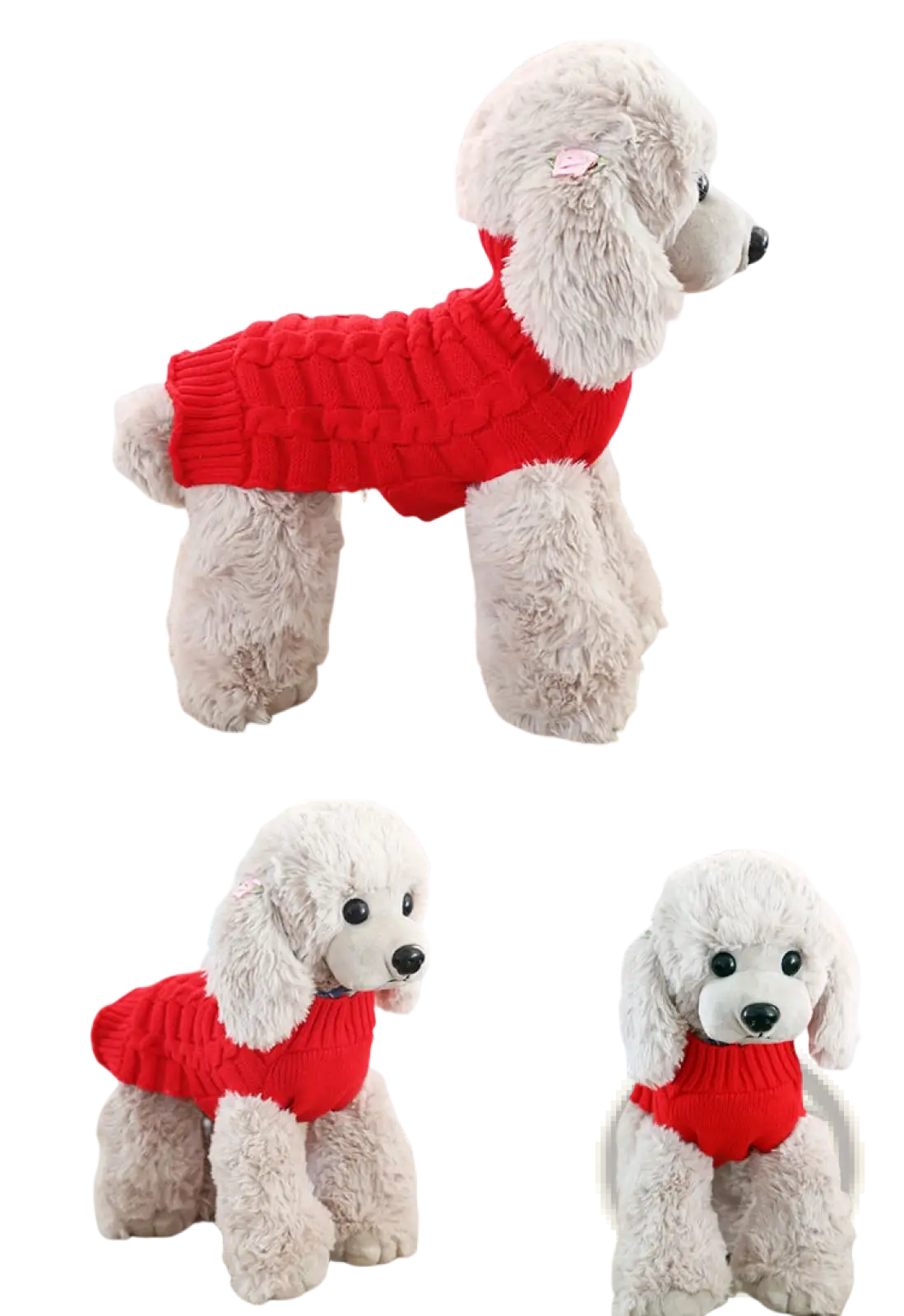 A fluffy white poodle wearing a vibrant red ribbed cashmere twisted rope dog sweater shown from the back side