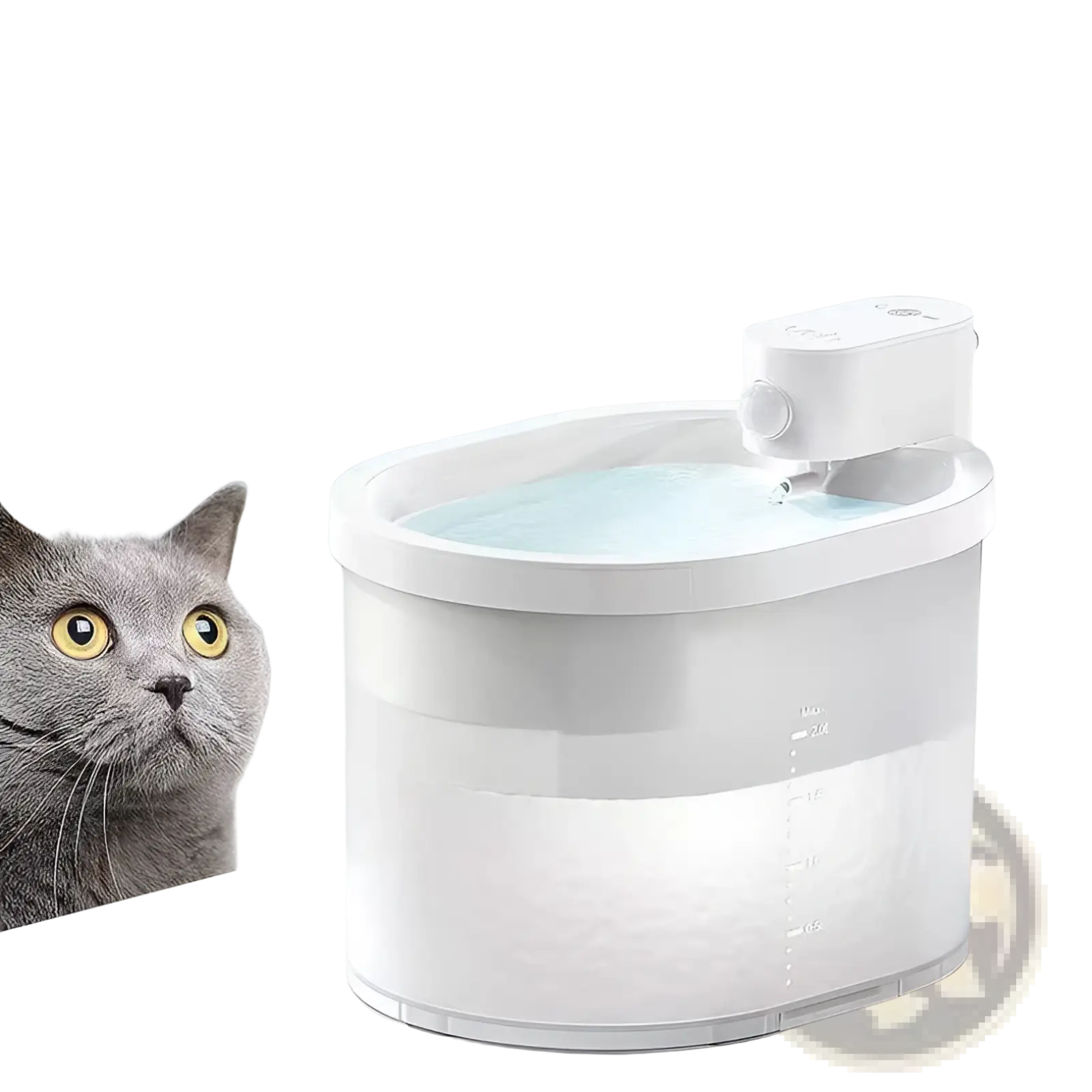 White plastic cat automatic water dispenser wireless pet fountain with clear reservoir and measurement markings