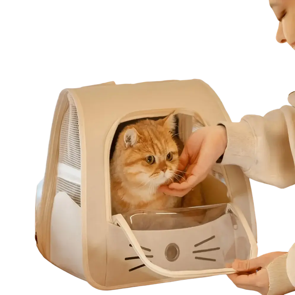 Beige cat backpack and towel set portable pet carrier with transparent window and cute whisker design