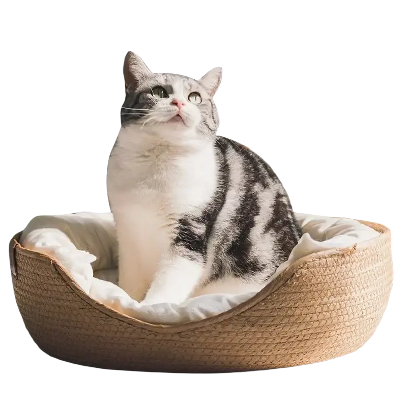 A cozy woven paper rope cat bed sleeping bag with a soft white cushion for comfortable pet resting