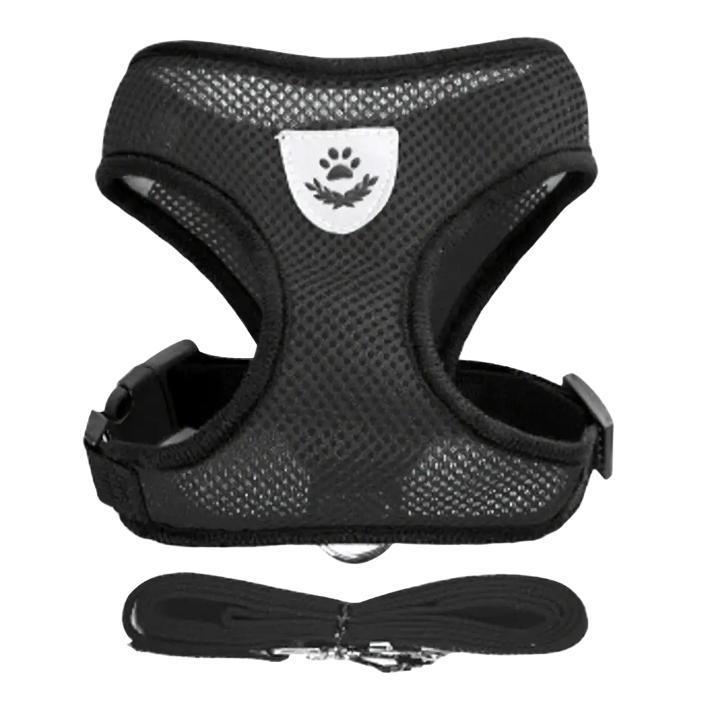 Black breathable mesh cat harness with white paw print emblem and matching leash featuring breakaway quick release