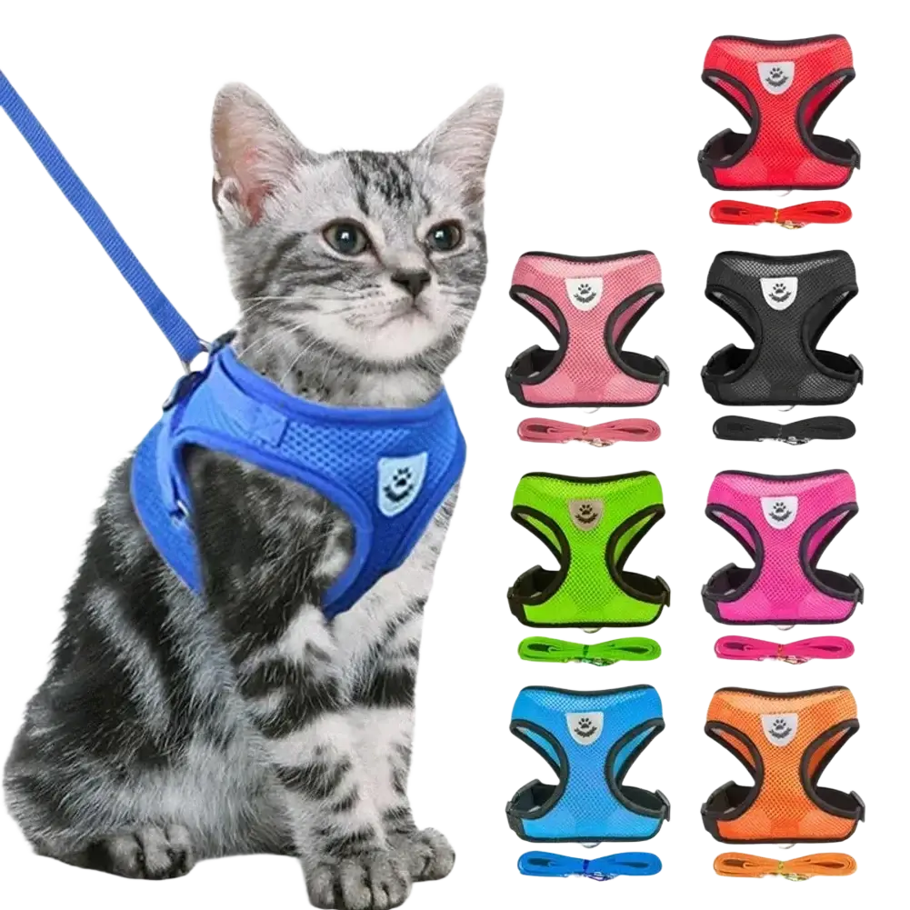 Blue breathable mesh cat harness and leash set with adjustable straps and breakaway quick release feature