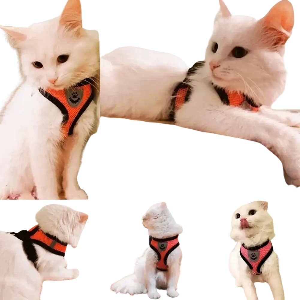 Orange and black mesh cat harness with gray paw print logo breathable mesh adjustable with breakaway quick release