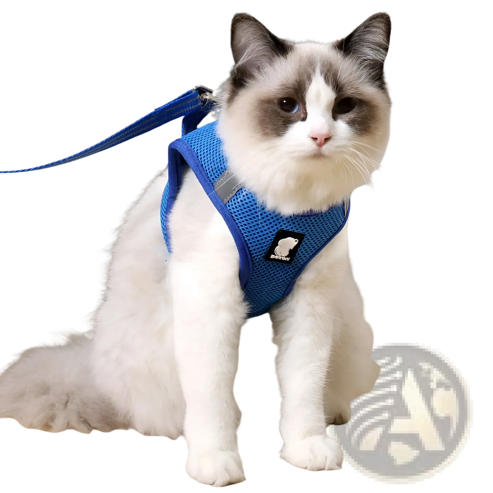 Blue mesh cat harness with adjustable straps and reflective panel for safe anti strike pet walking