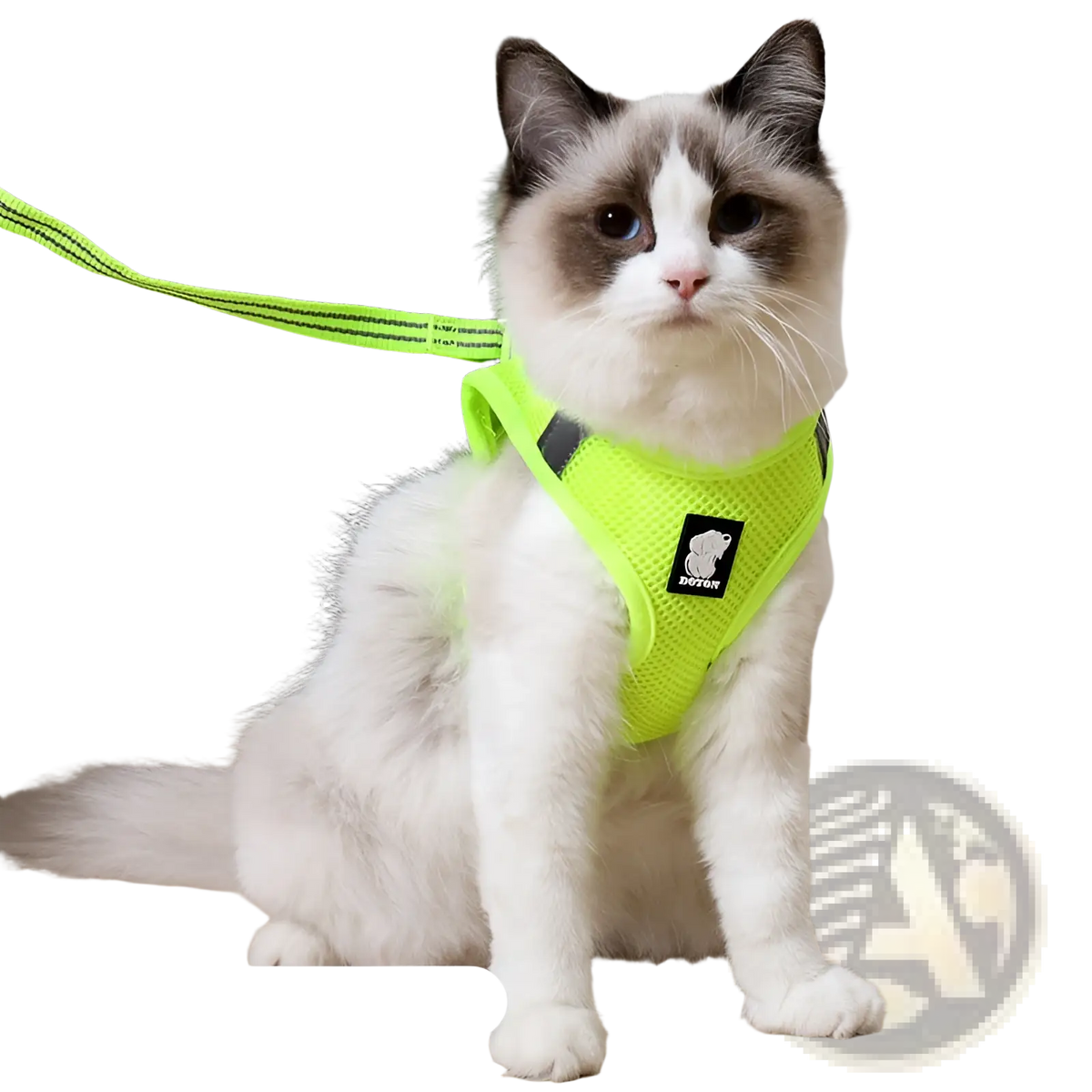 Fruit green mesh cat harness with black reflective strip and brand logo designed for safe pet walking