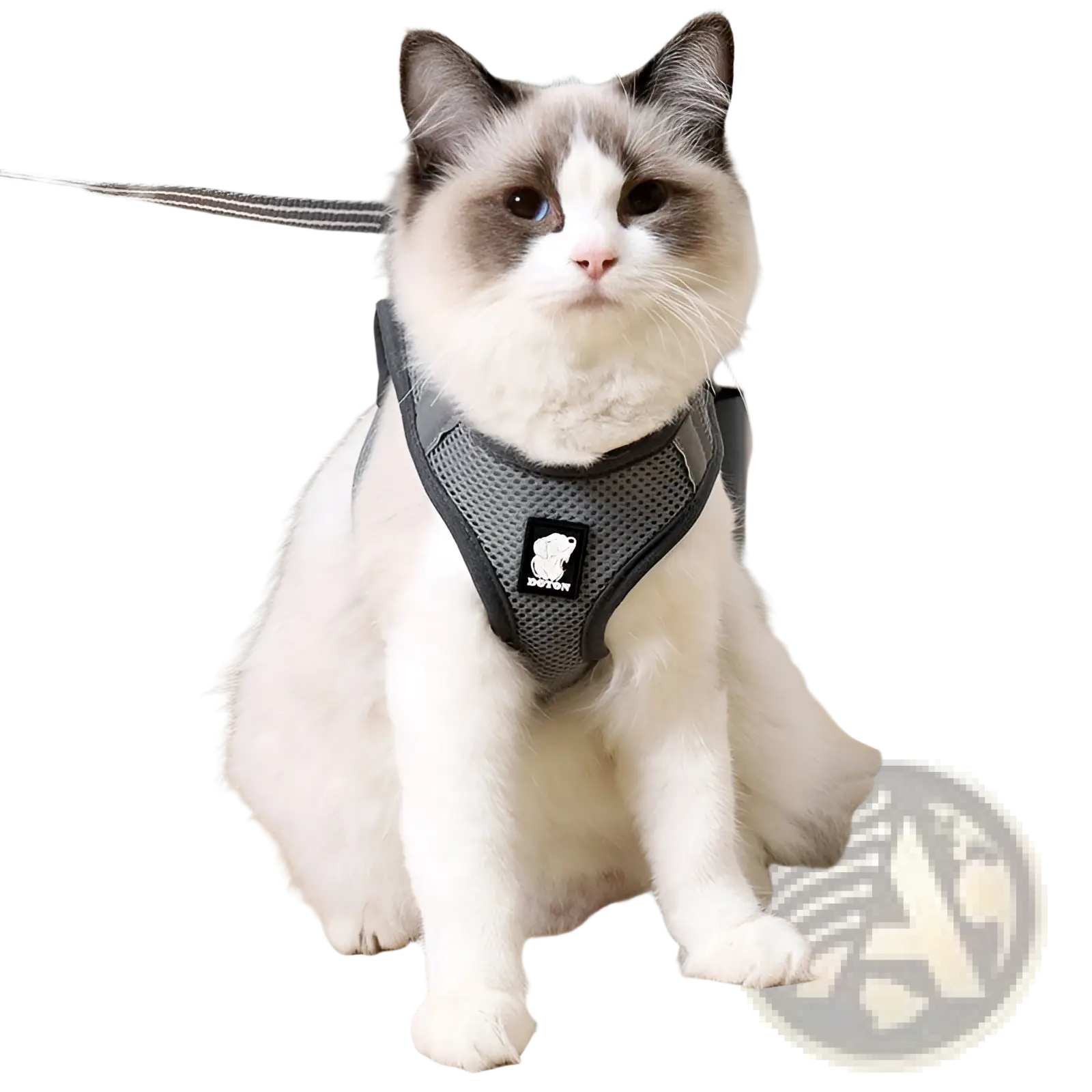Gray mesh cat harness with black trim and a small logo patch designed for reflective anti strike pet walking