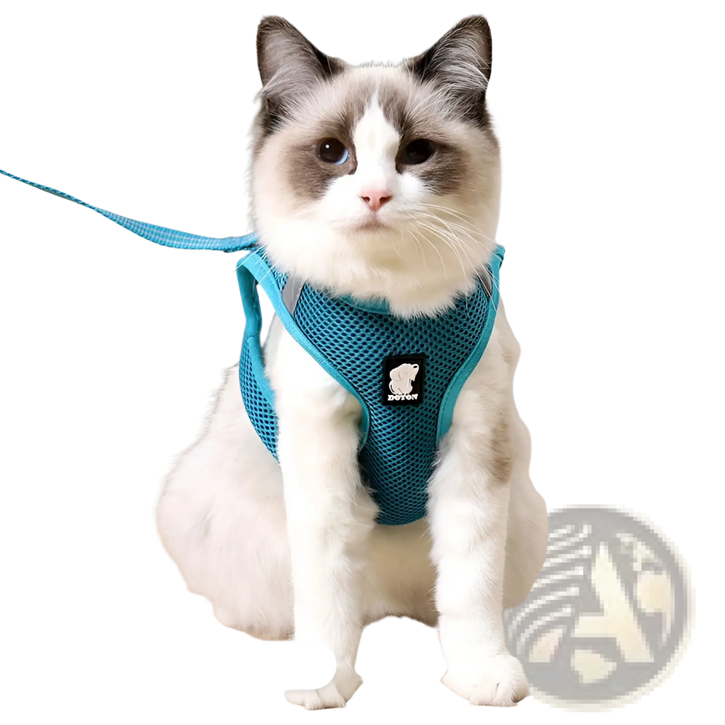 Turquoise mesh cat harness with adjustable straps and reflective anti strike features for safe pet walking