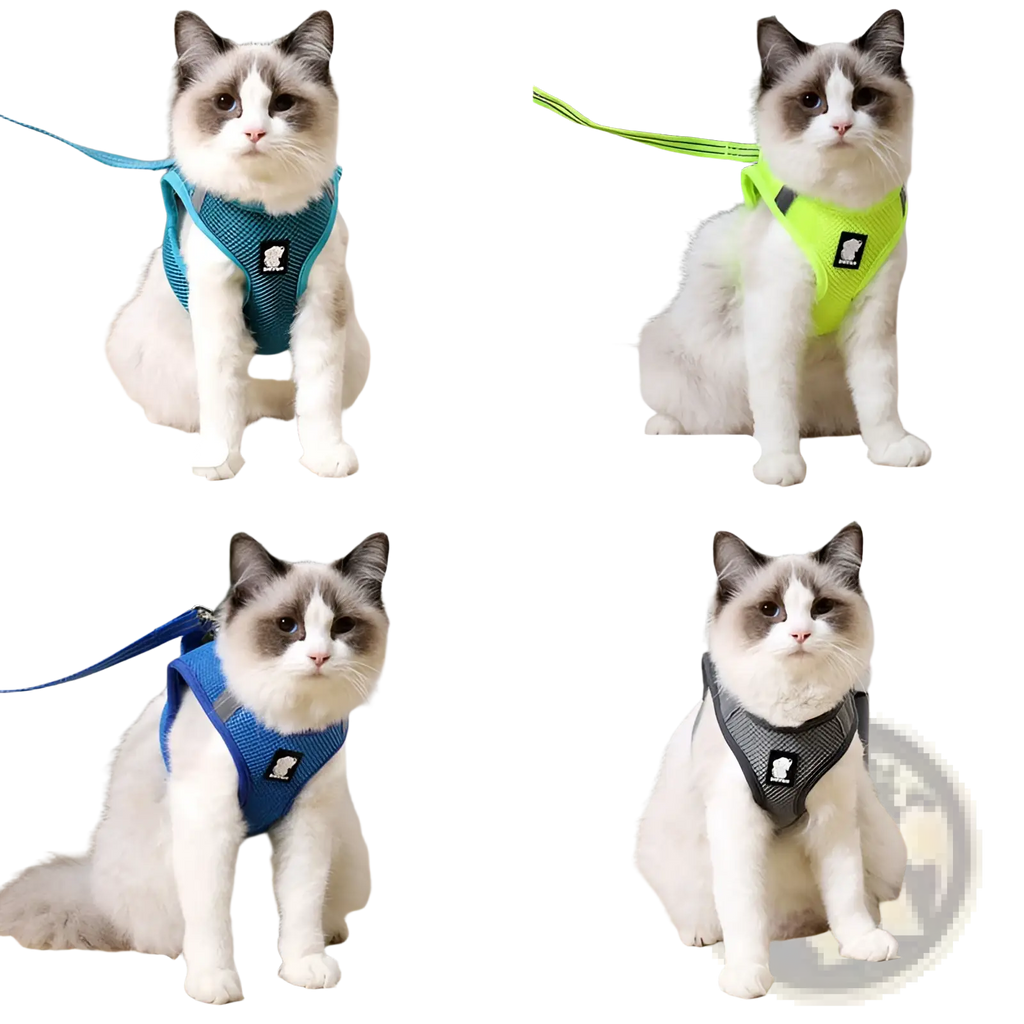 Cat harness mesh reflective anti strike pet walker in turquoise fruit green blue or gray with small black logo on front