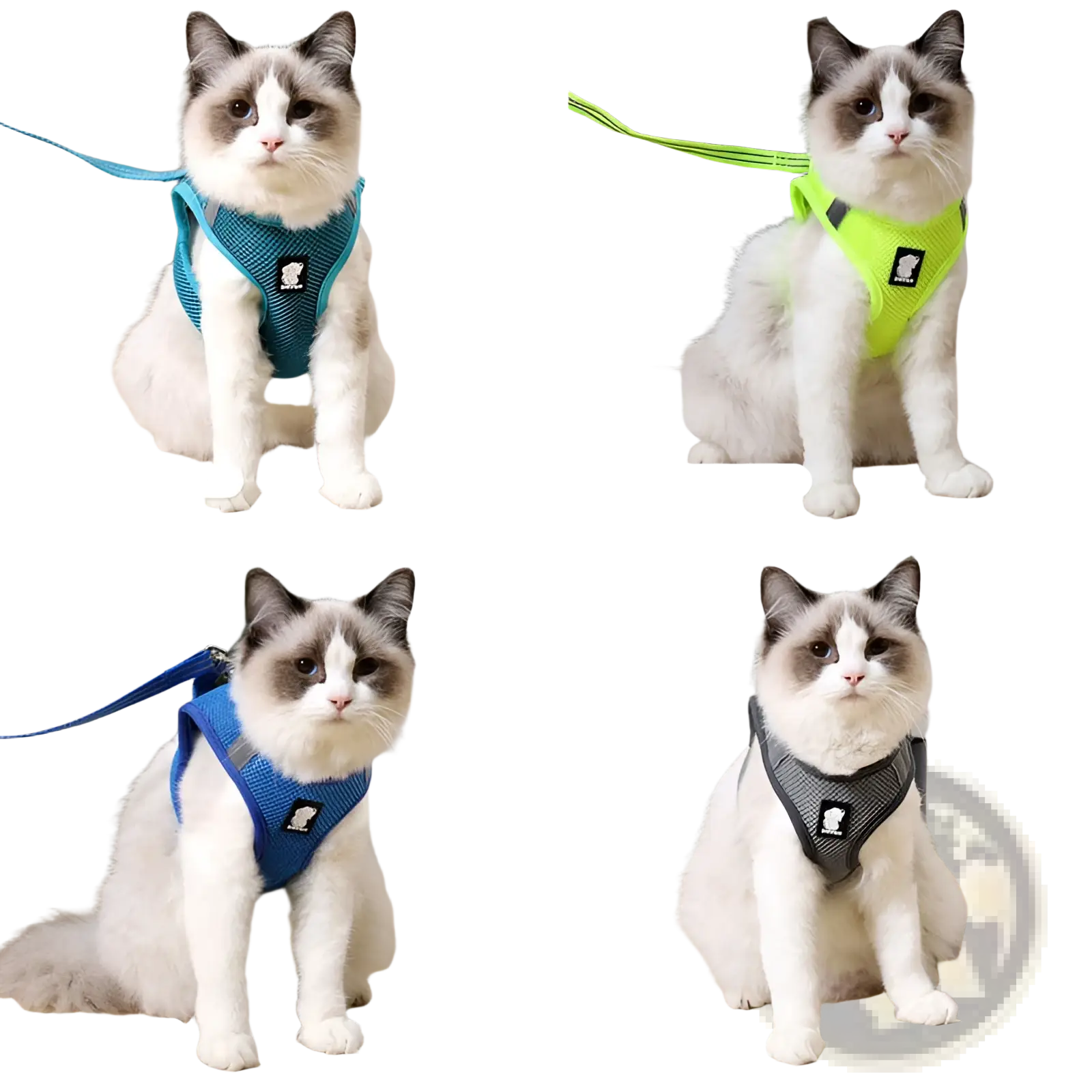 Cat harness mesh reflective anti strike pet walker in turquoise fruit green blue or gray with small black logo on front