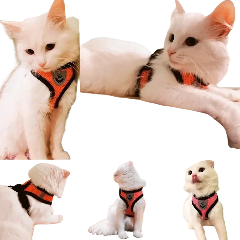Orange and black mesh cat harness with gray paw print emblem designed for safe walking with lead leash and collar type adjustment