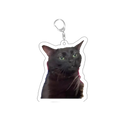Black cat-shaped acrylic keychain with green eyes and silver metal clasp from Cat Meme Acrylic Keychain collection
