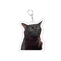 Black cat-shaped acrylic keychain with green eyes and silver metal clasp from Cat Meme Acrylic Keychain collection