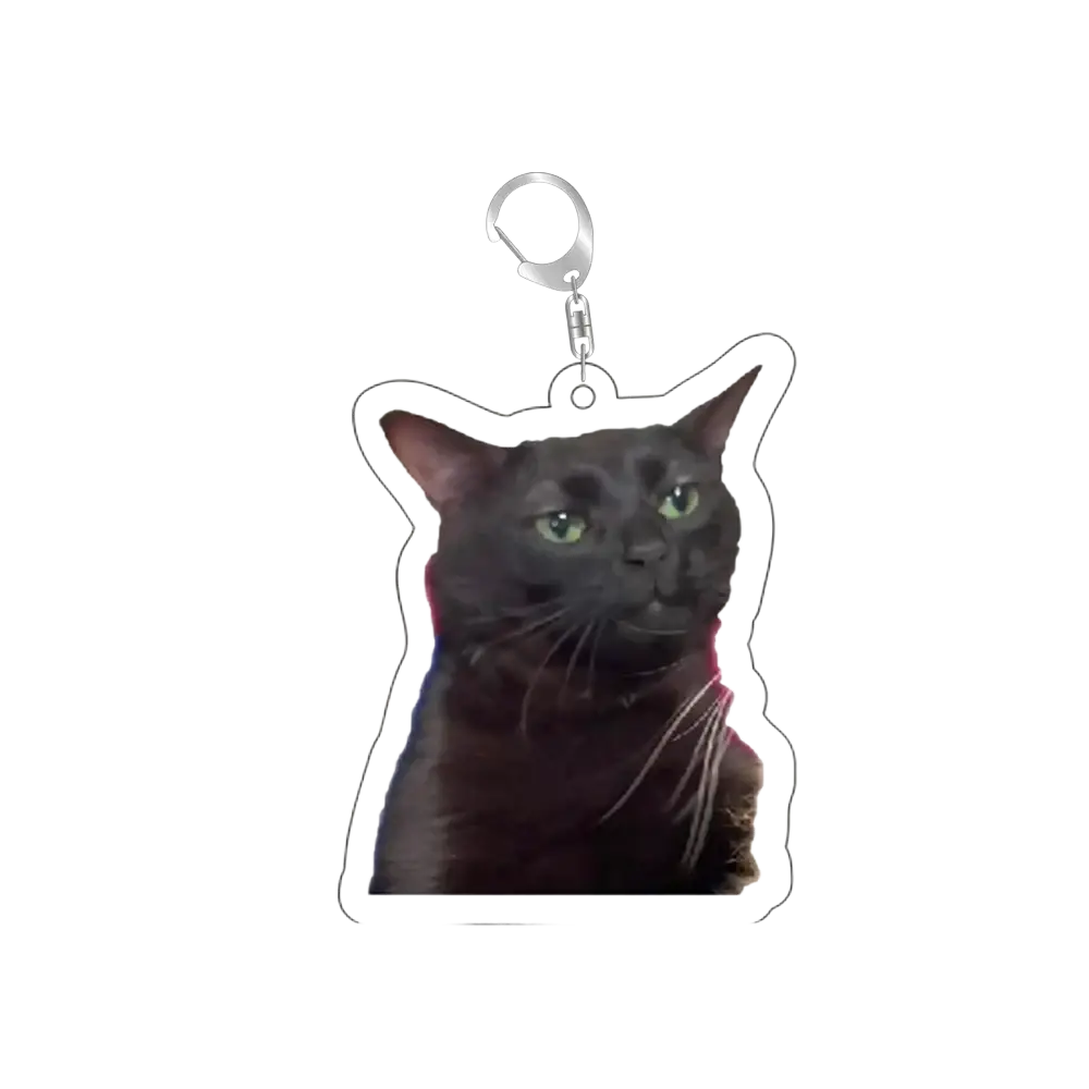 Black cat-shaped acrylic keychain with green eyes and silver metal clasp from Cat Meme Acrylic Keychain collection