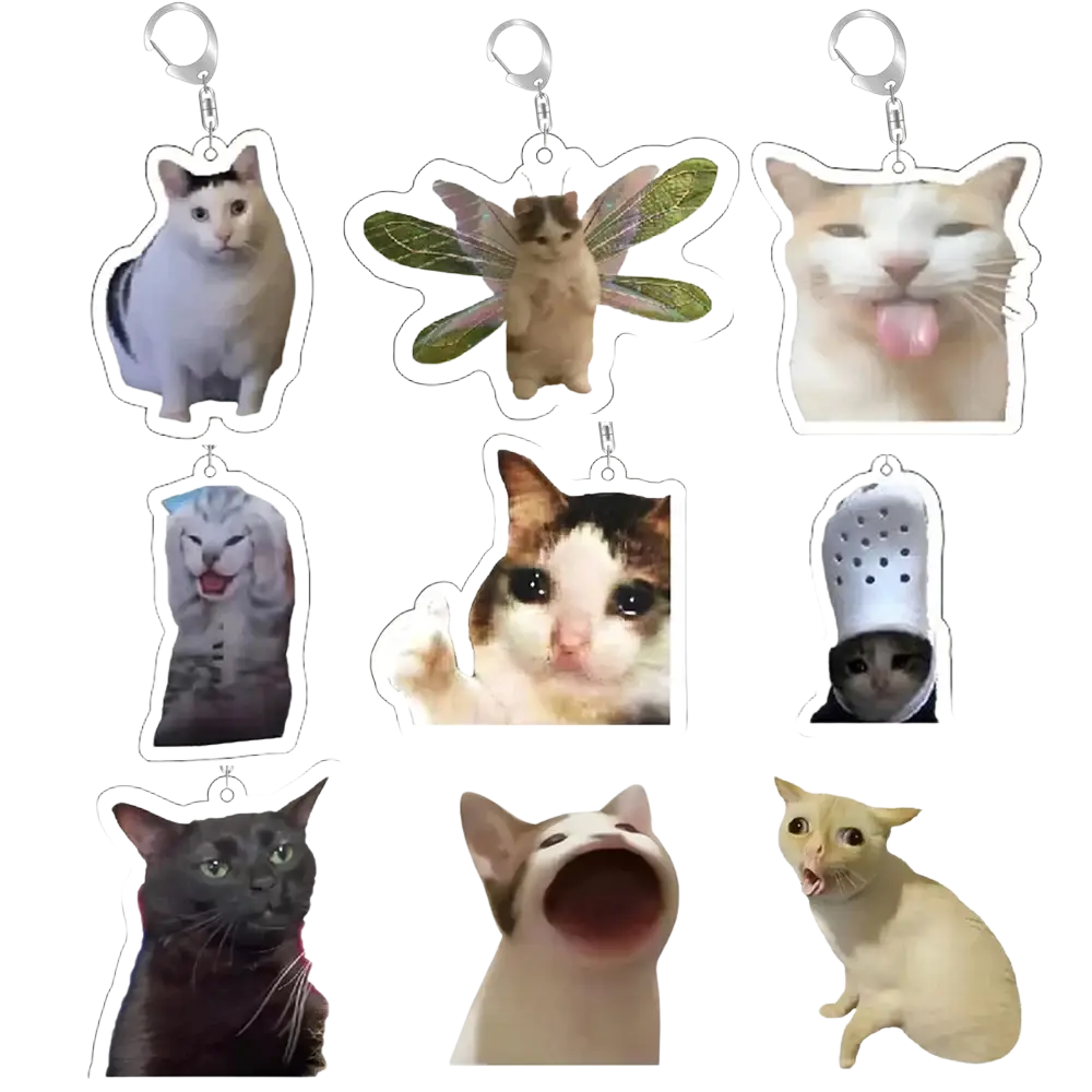 Clear acrylic cat meme keychain with white cat black markings and silver metal clasp for easy attachment