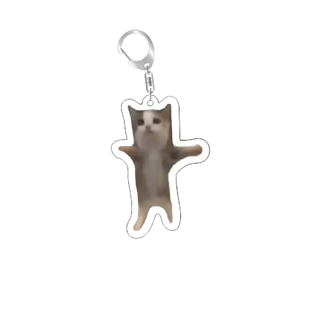 Clear acrylic cat meme keychain featuring a gray and white cartoon cat with outstretched arms printed on it