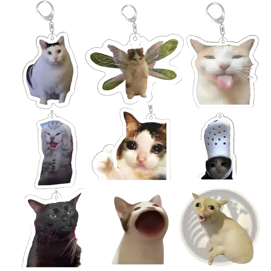 Clear acrylic cat meme keychain with white cat black markings and silver metal clasp for easy attachment