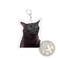 Black cat-shaped acrylic keychain with green eyes and silver metal clasp from Cat Meme Acrylic Keychain collection
