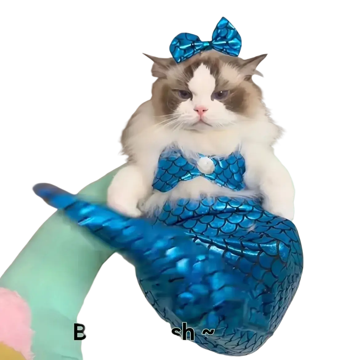 Blue cat mermaid costume with shiny dacron scales and matching bow for pet apparel use