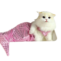 A fluffy white kitten wearing a shiny pink mermaid tail cat costume made of dacron pet apparel material