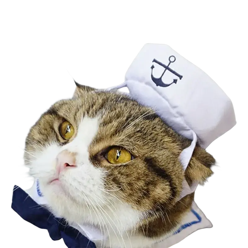 White sailor hat with a black anchor emblem featured in a cat sailor costume for pet dress up
