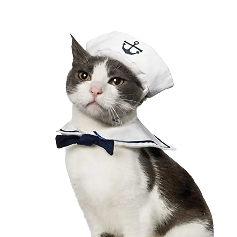 White sailor-style hat with navy blue anchor emblem for cat sailor costume accessory