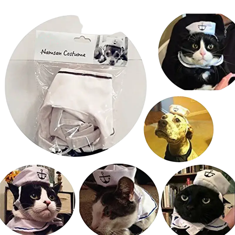 Cat sailor costume with white fabric, navy blue trim, anchor emblem, and matching hat for pets