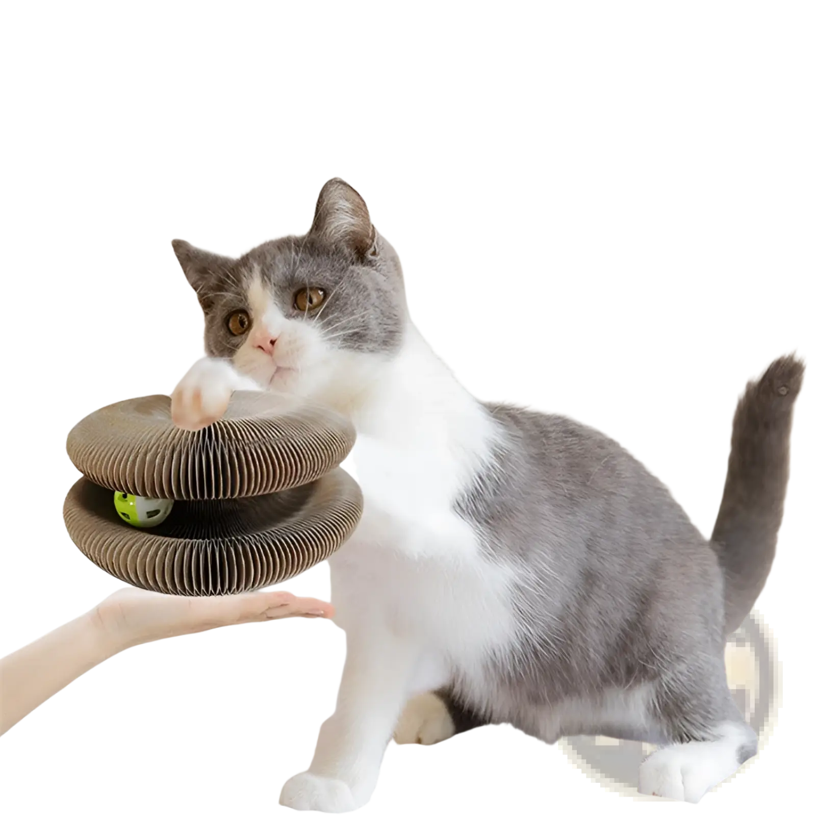 Brown corrugated cardboard cat scratch board magnetic folding toy with a green ball inside for cat play
