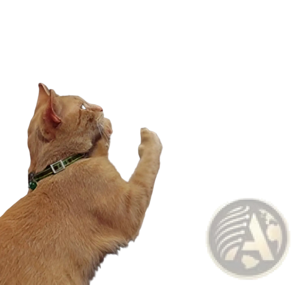 A ginger cat with a green collar scratching a textured brown fabric cat scratch protector furniture guard 30x45cm 2 pack