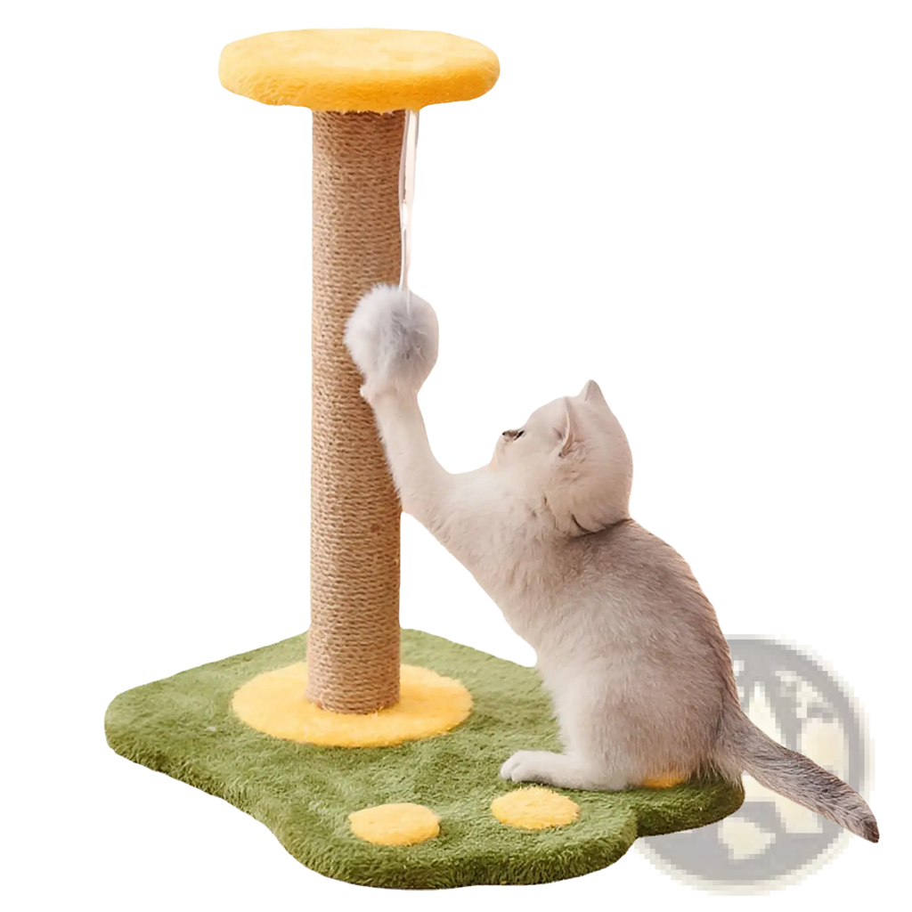 A light gray kitten scratching a durable light gray sisal cat scratcher post with yellow top and green base