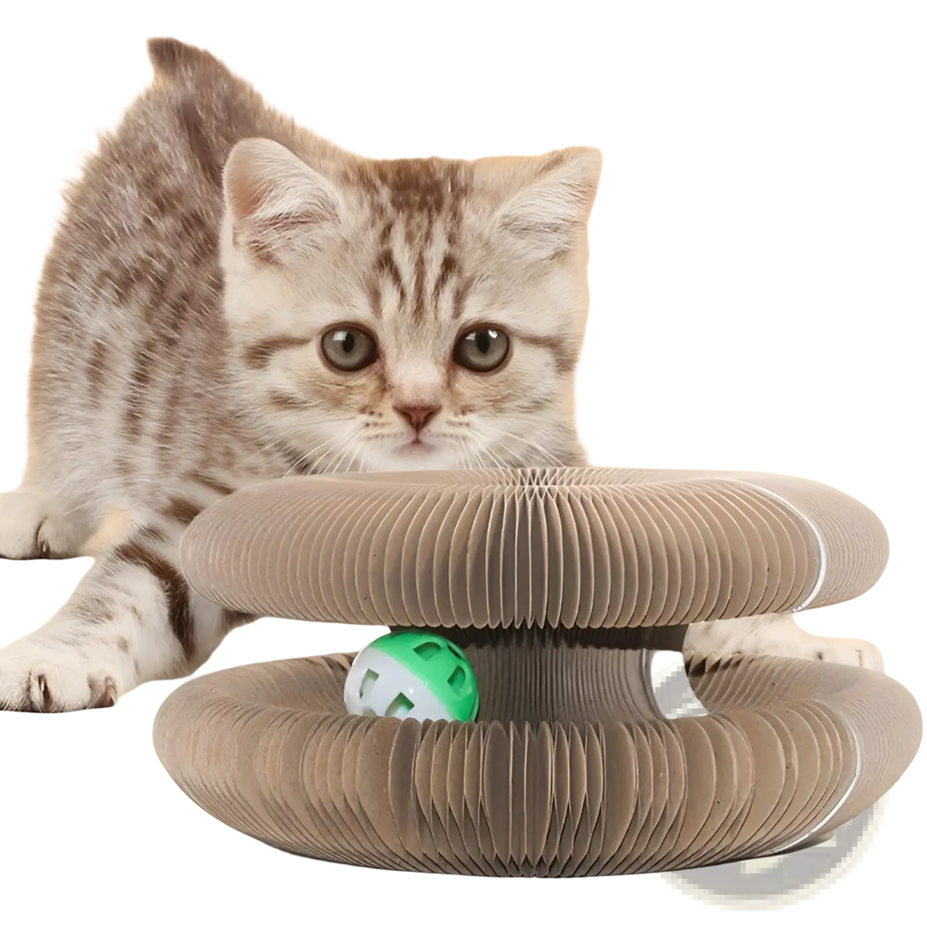Brown corrugated cardboard cat scratching board organ toy with a green and white bell ball inside for cat play