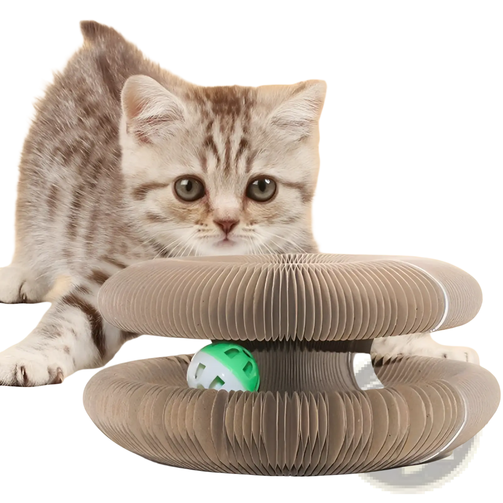 Brown corrugated cardboard cat scratching board organ toy with a green and white bell ball inside for cat play