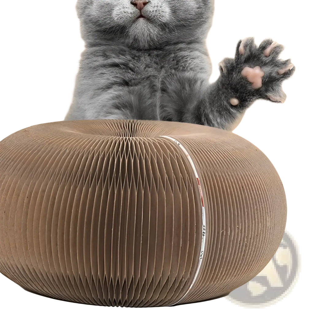 A gray kitten playfully raises its paw above a round gray corrugated cardboard cat scratching board with a bell ball