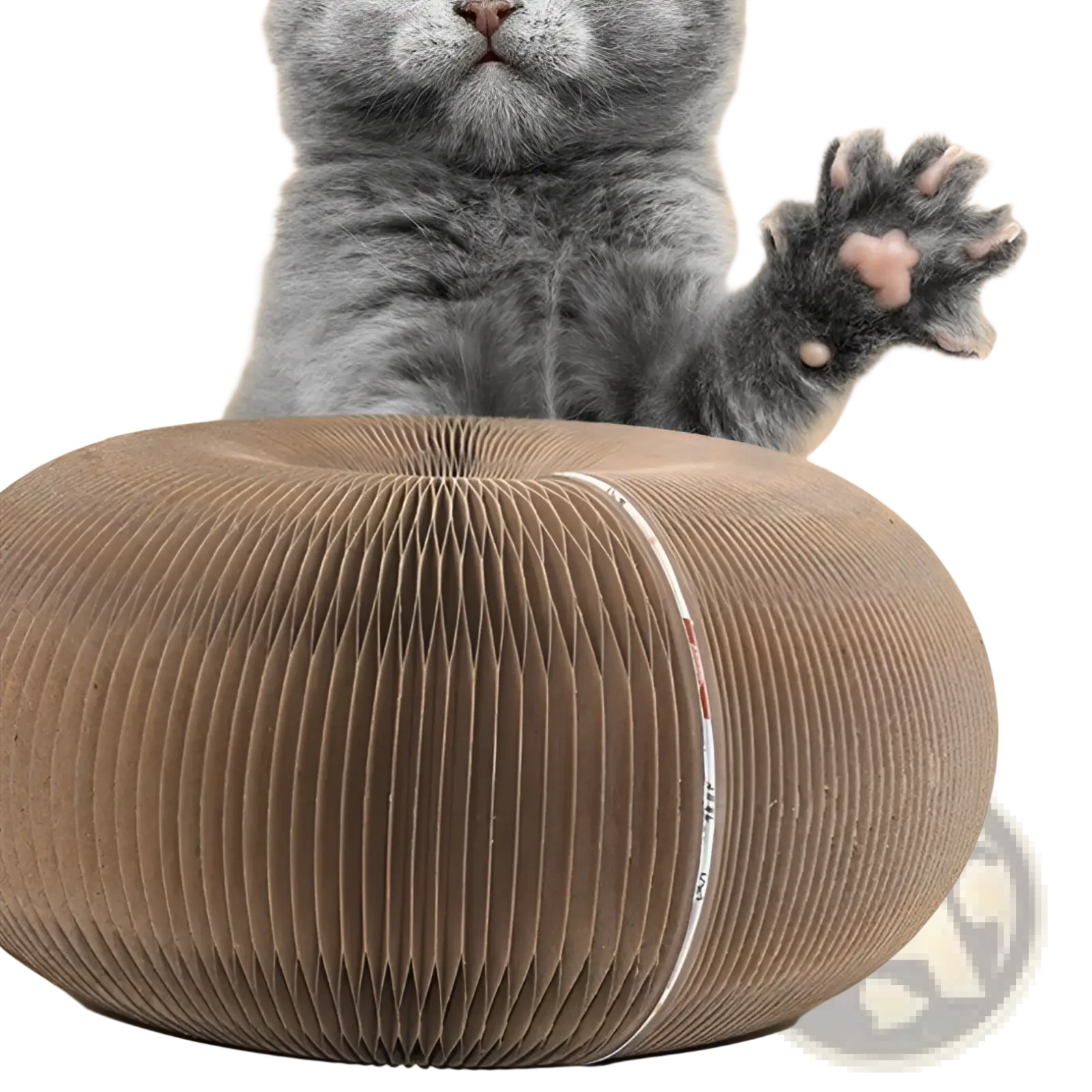 A gray kitten playfully raises its paw above a round gray corrugated cardboard cat scratching board with a bell ball