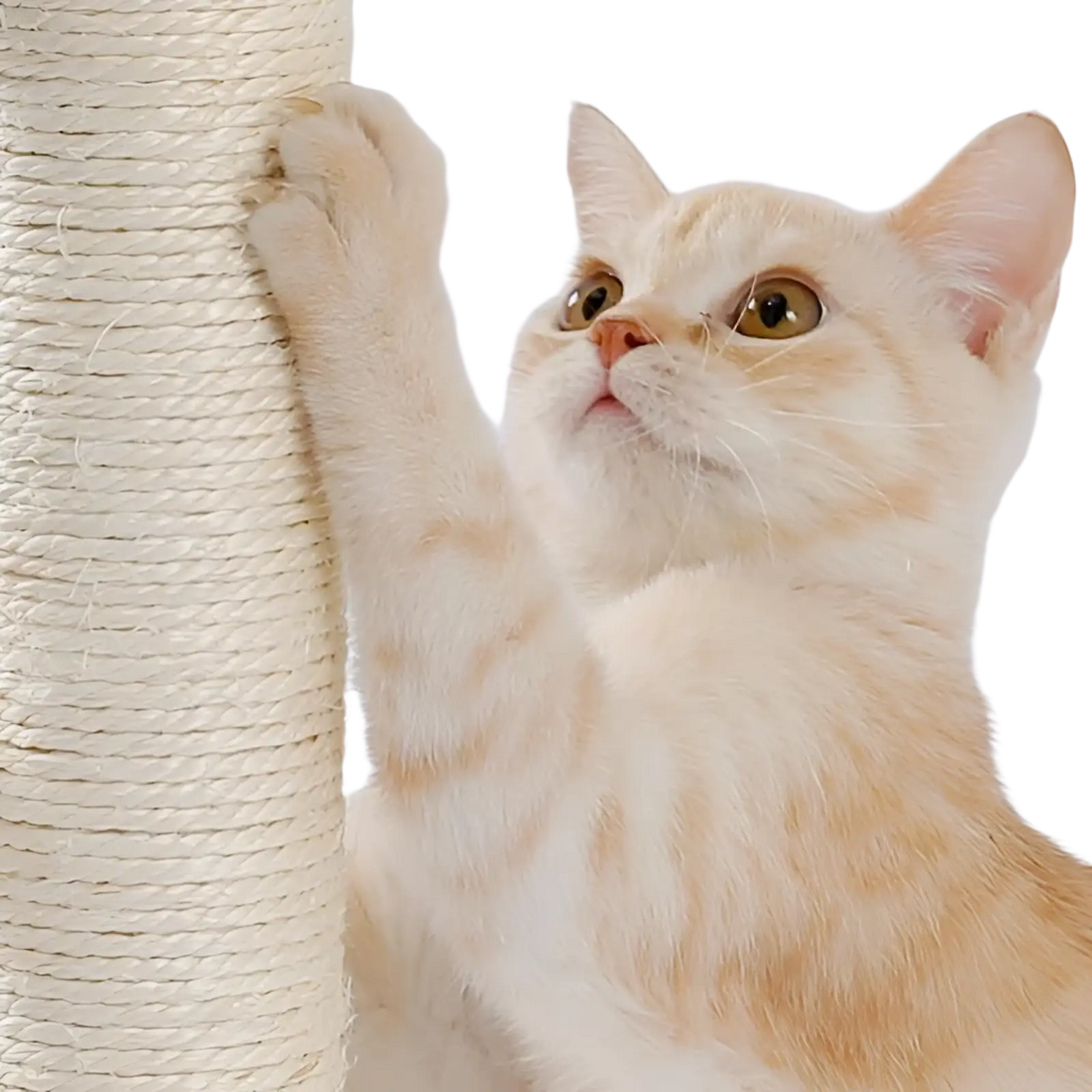 Cream-colored tabby cat gripping a textured sisal-wrapped cat scratching post with ball track for interactive play
