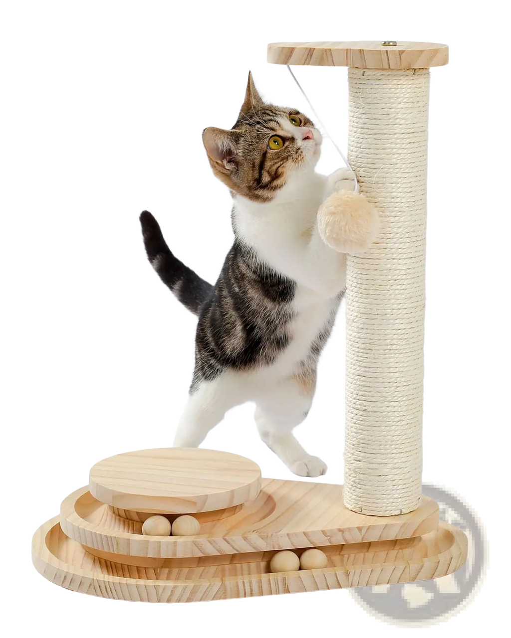 Light-colored wooden cat scratching post with sisal rope column and rounded platforms for playful scratching