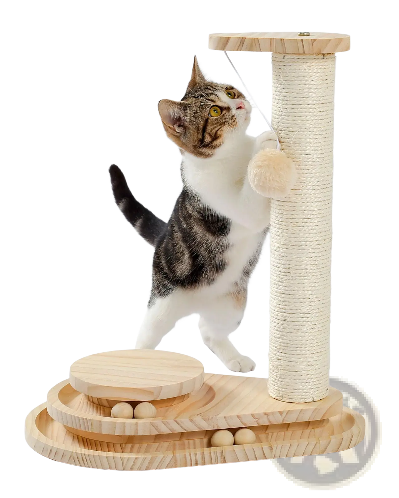 Light-colored wooden cat scratching post with sisal rope column and rounded platforms for playful scratching