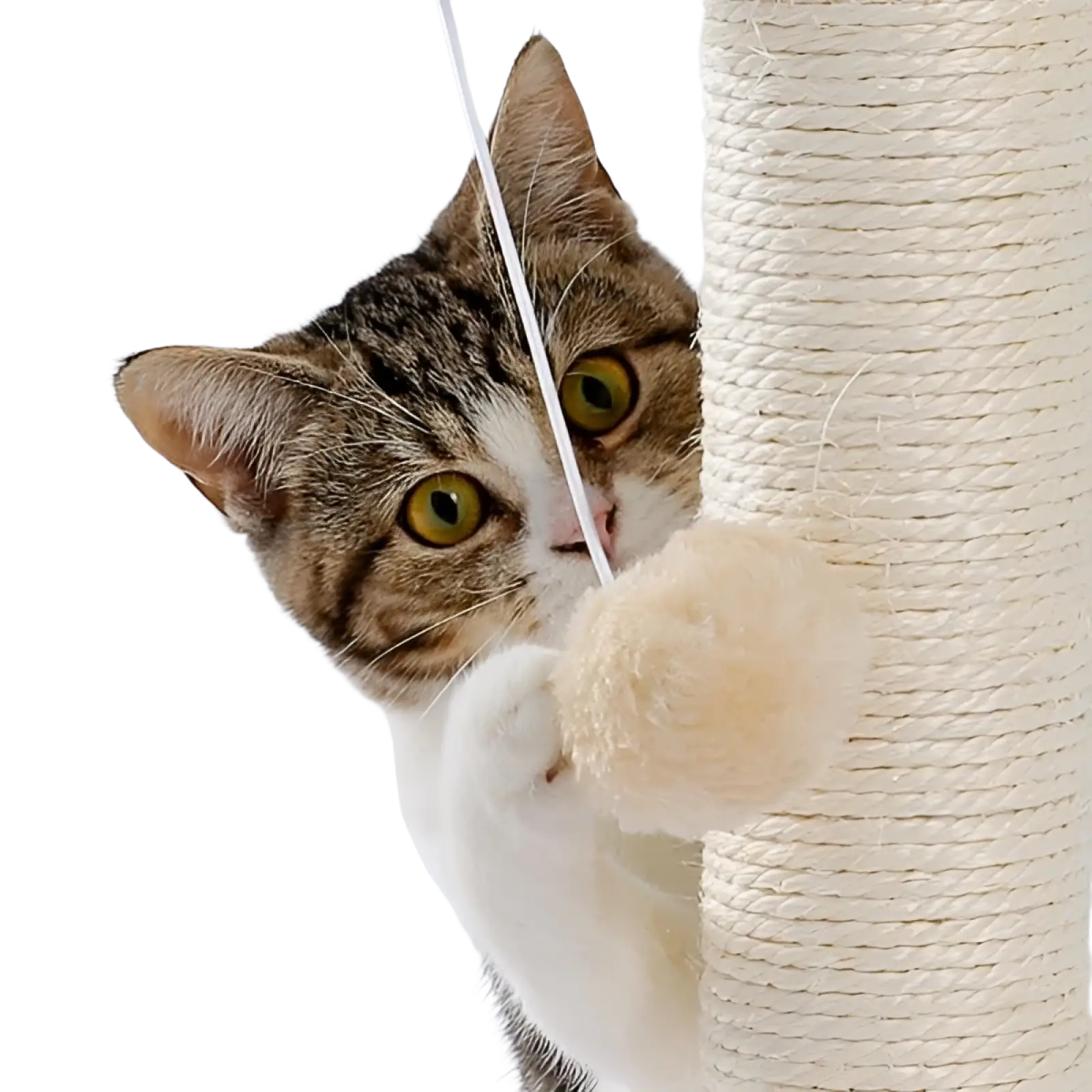 A tabby cat with yellow eyes plays with a cream ball on a cat scratching post with sisal rope and ball track