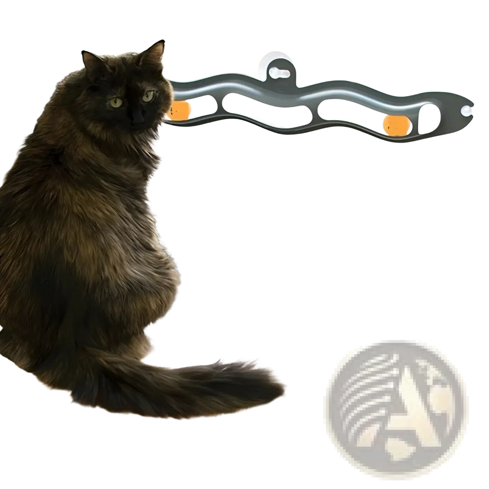 Black and orange wavy cat track ball toy with bone-shaped handle and suction cup for interactive play