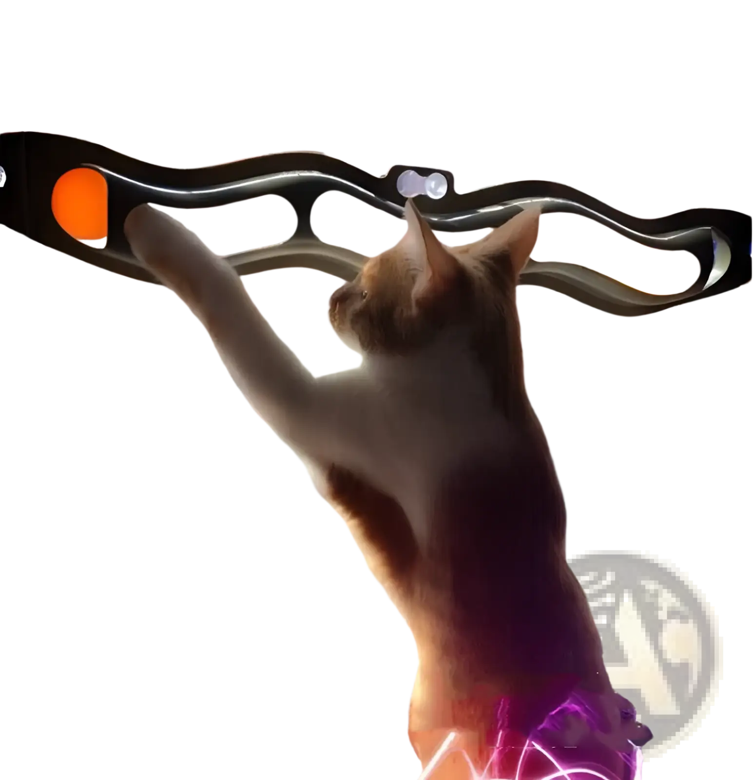 A sleek black cat track ball toy with glowing orange orbs silver accents and a suction cup for interactive play