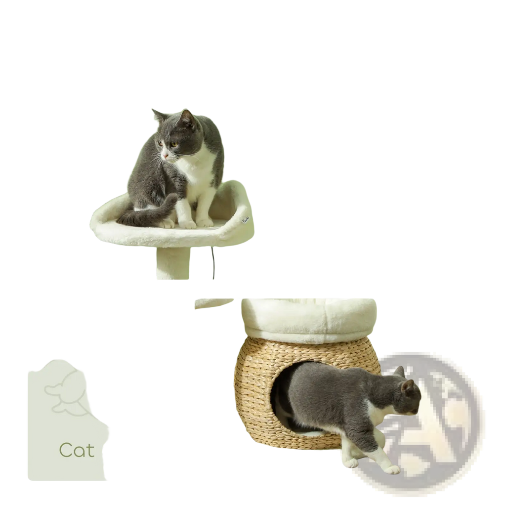Cream-colored plush cat bed with woven wicker base and cushioned platform in cat tree tower with scratching posts