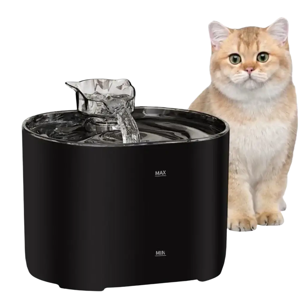 Black cylindrical cat water fountain with clear glass spout and quiet pump dispensing flowing water 2.2l capacity