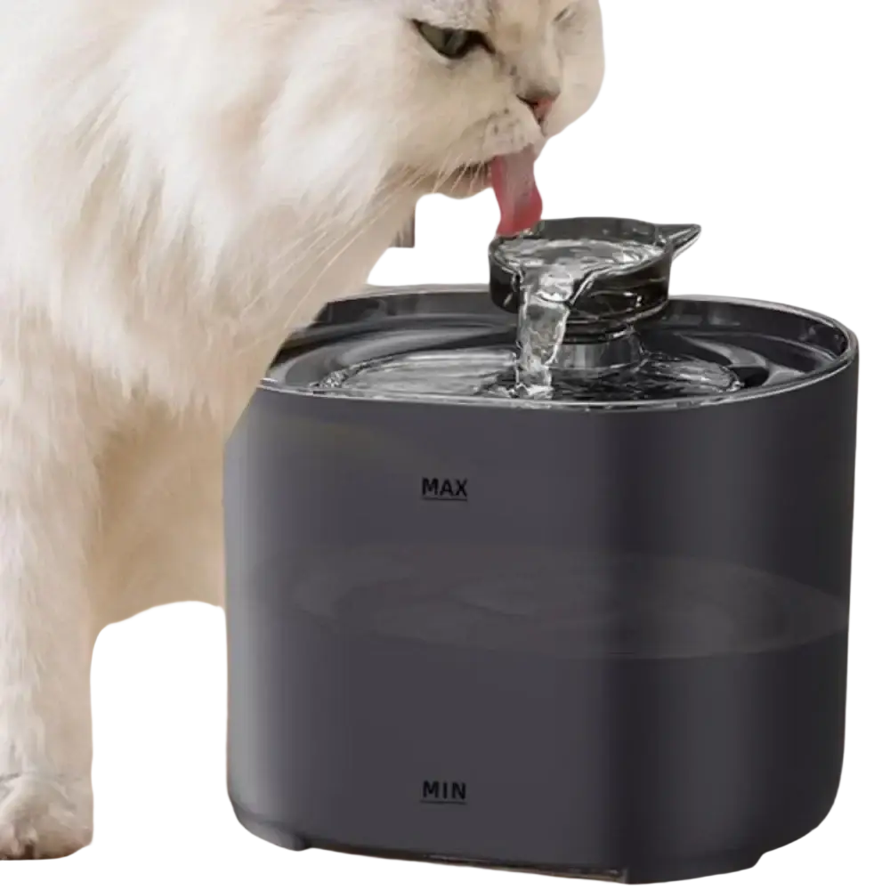 Dark gray cylindrical cat water fountain with quiet pump and clear glass top spout for continuous water flow