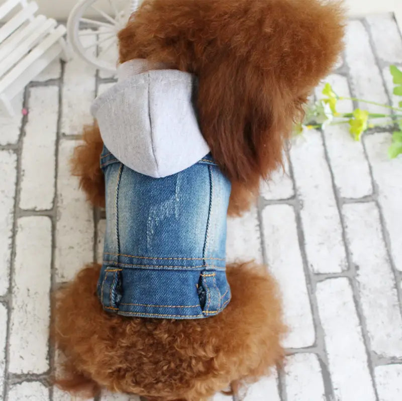 Blue denim dog vest with a gray hood featuring strawberry embroidery for puppies.