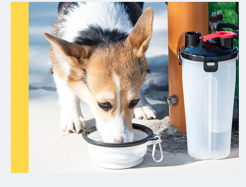 Weiße klappbare Schale für Haustiere mit schwarzem Rand und silbernem Karabinerclip, ausgelegt als tragbarer Hundetrinknapf und faltbarer Futter- und Trinknapf.