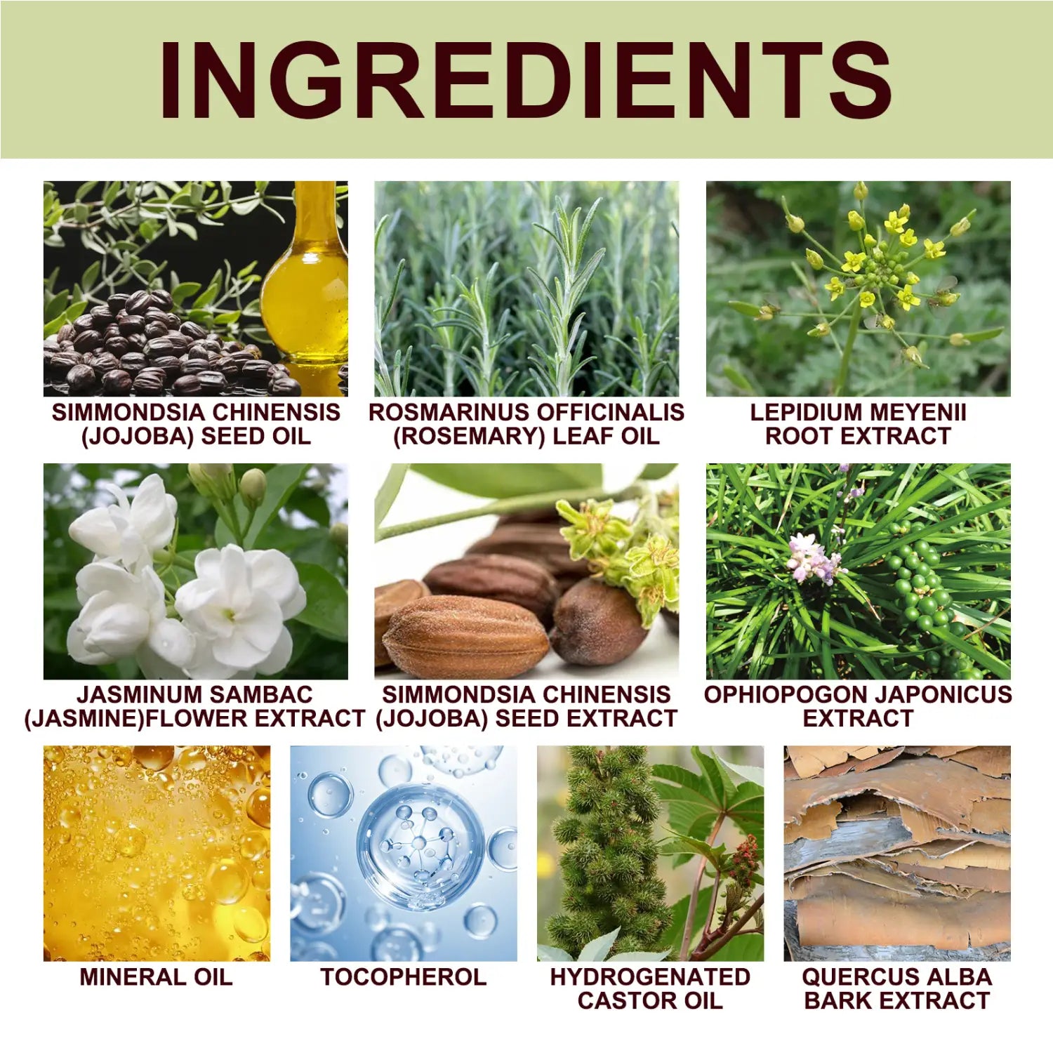 The back side of the men’s essential oil jojoba massage vitality 10ml product displays a list of natural botanical ingredients including jojoba seed oil, rosemary leaf oil, jasmine flower extract, and hydrogenated castor oil.