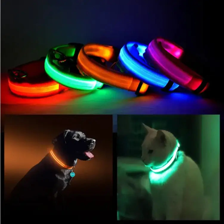 led dog collars reflective light up safety halo belts glow brightly in neon red green orange blue and pink against a dark background.