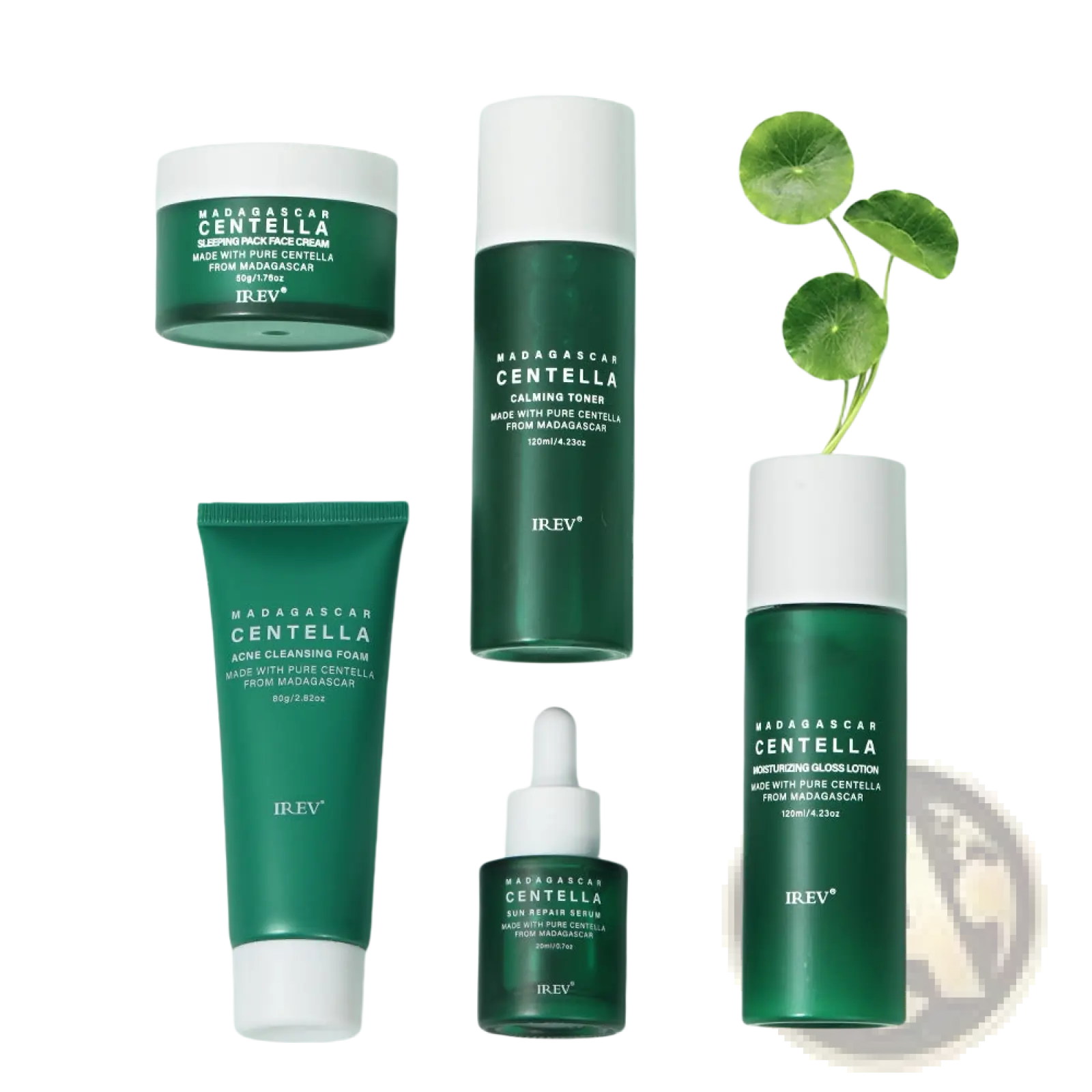 Green and white irev madagascar centella 5-piece facial skincare set with minimalist bottles tubes and jars