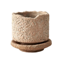 Rustic beige handmade ceramic flower pot with textured porous surface and matching saucer for green plant display