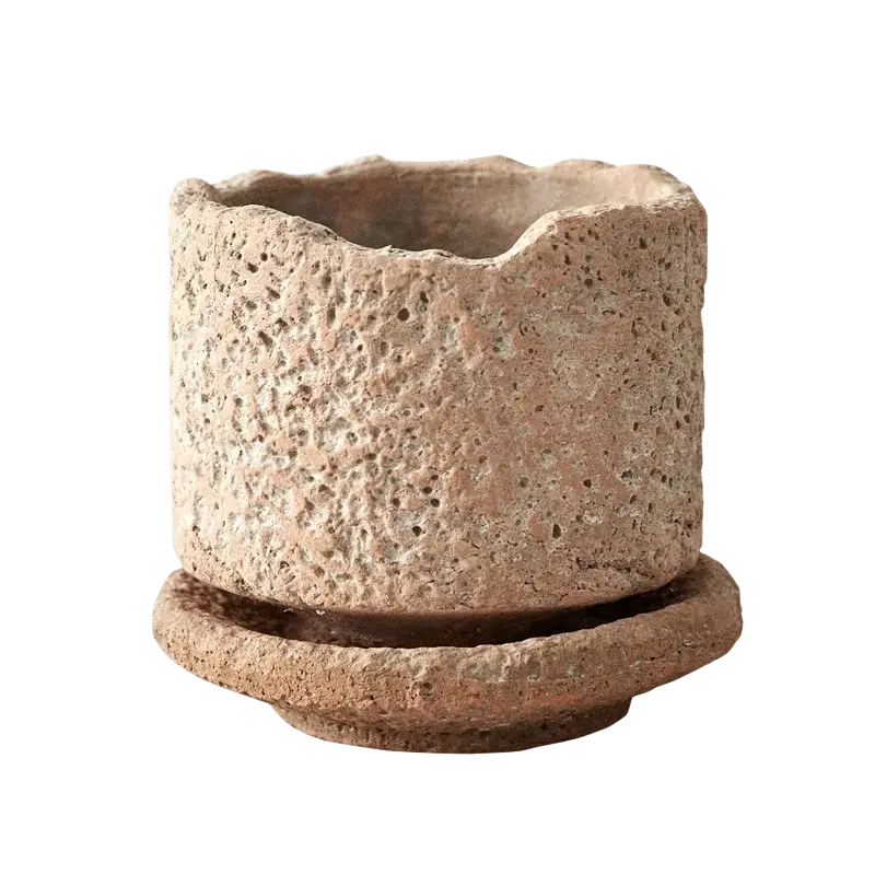 Rustic beige handmade ceramic flower pot with textured porous surface and matching saucer for green plant display